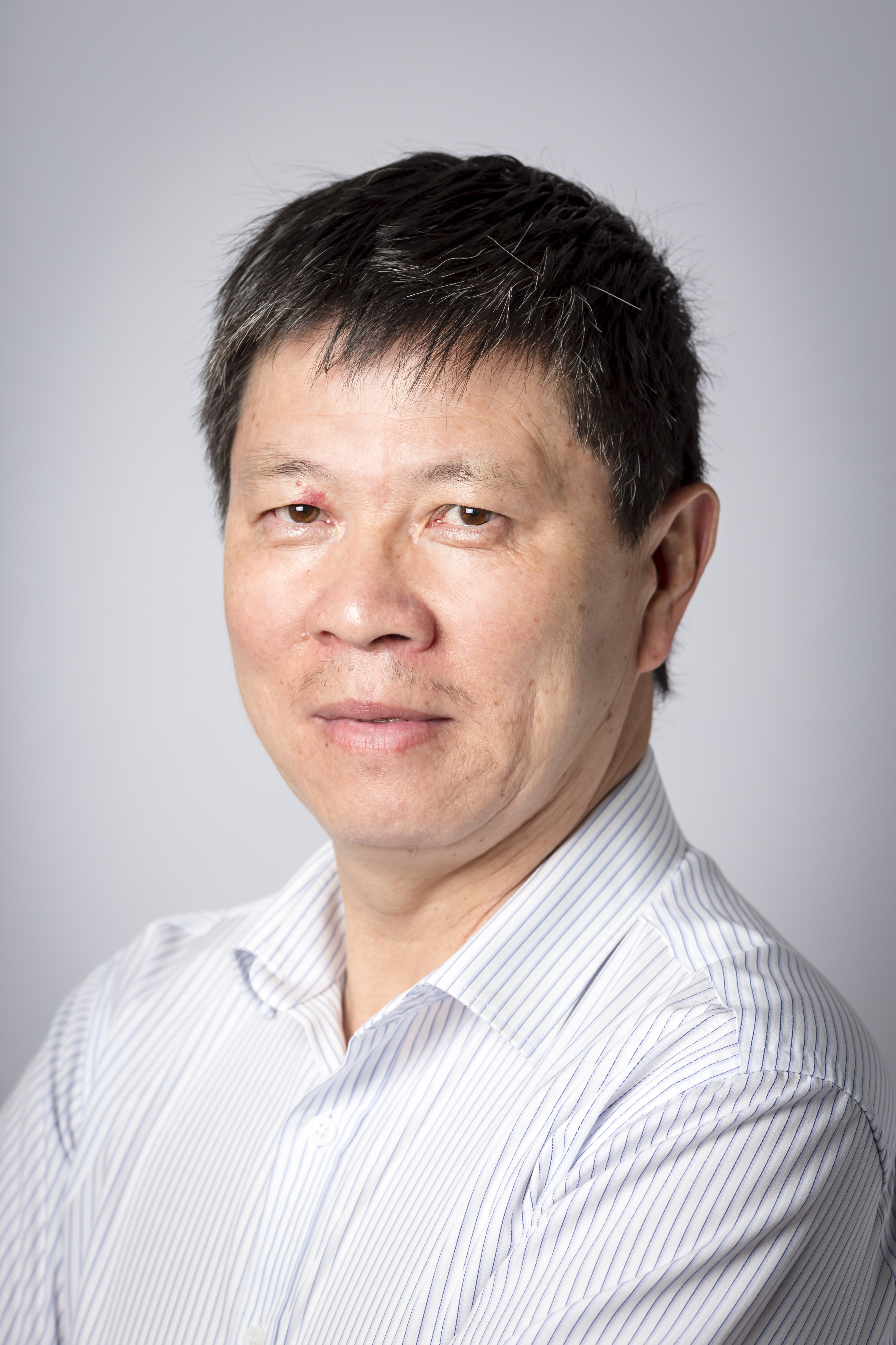 Professor Junbin Gao
